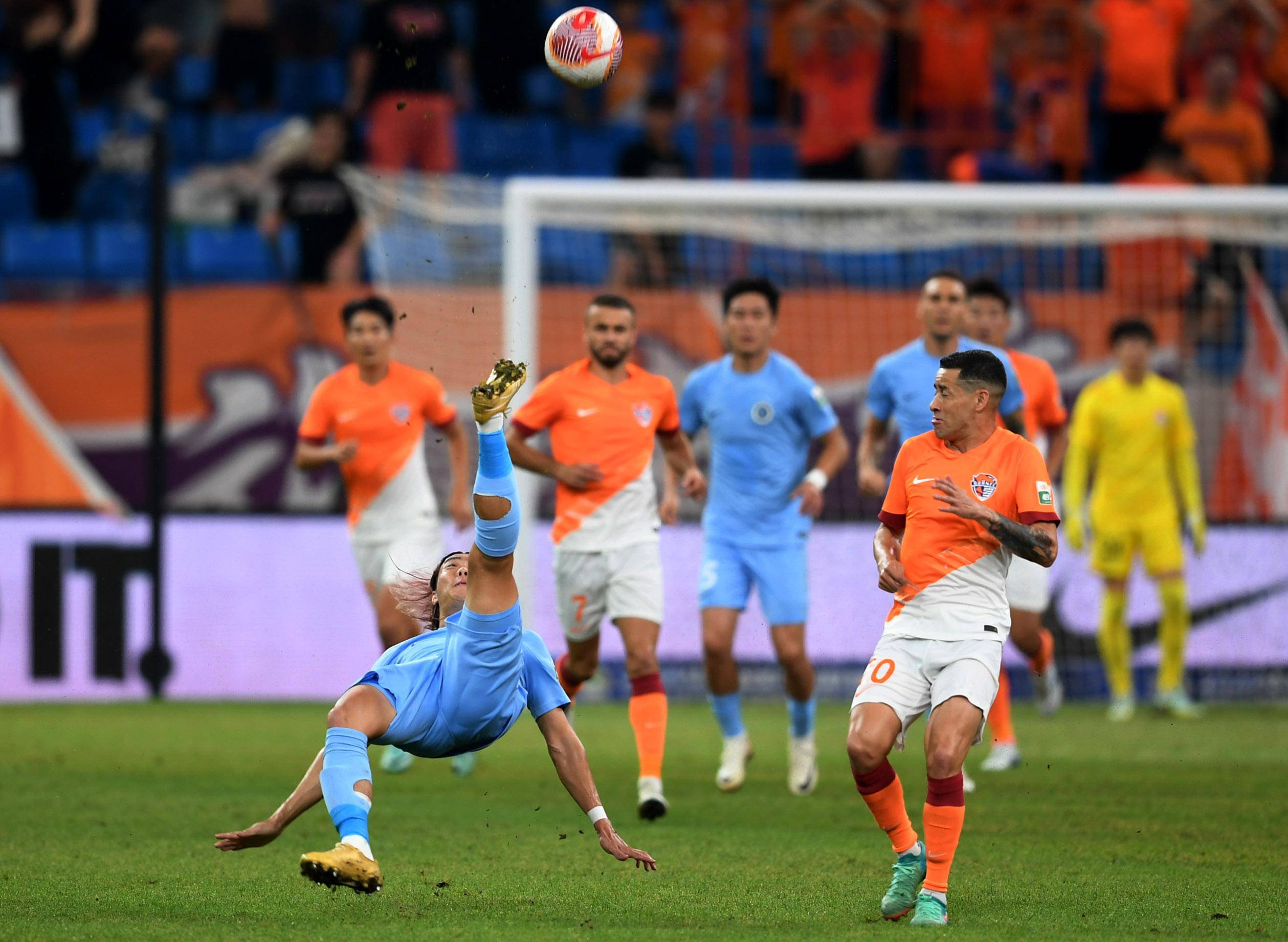 表现彻底征 表现彻底征