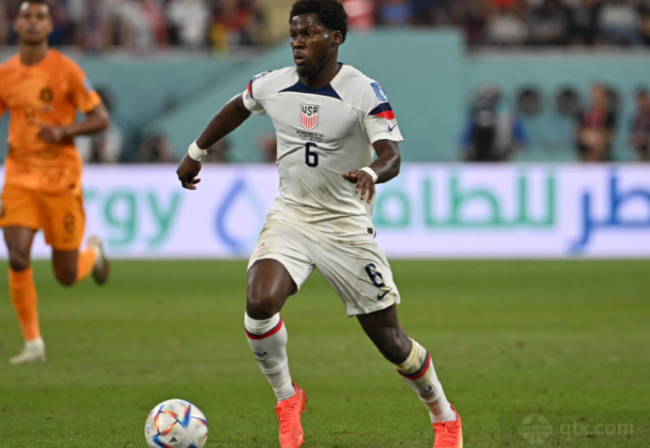 幼狮队在体 幼狮队在体